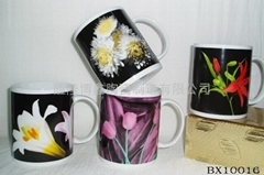 BOXIN CERAMIC MANUFACTURING CO.LTD.: 卓越品質(zhì)，傳承陶瓷藝術(shù)